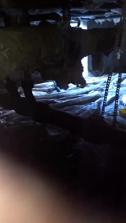 Rodent exterminators for mice extermination by rat exterminators