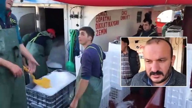 Karadeniz'de Hamsi Bereketi: Tonlarca Hamsiyle Döndüler