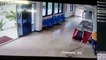 Snake Slithers Into Police Station And Jumps Up At Man