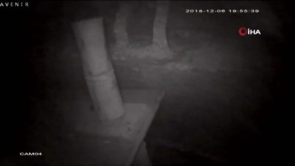 Göçükten Dakikalar ile Kurtuldular... Siverek'te Ahırın Çökme Anı Kamerada