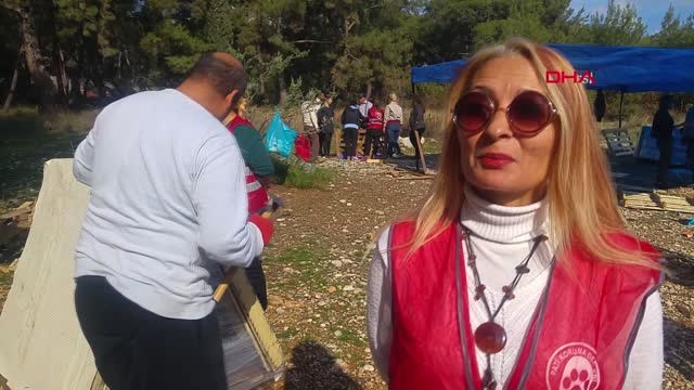 Antalya Sokak Hayvanları İçin Kulübe Yapıyorlar