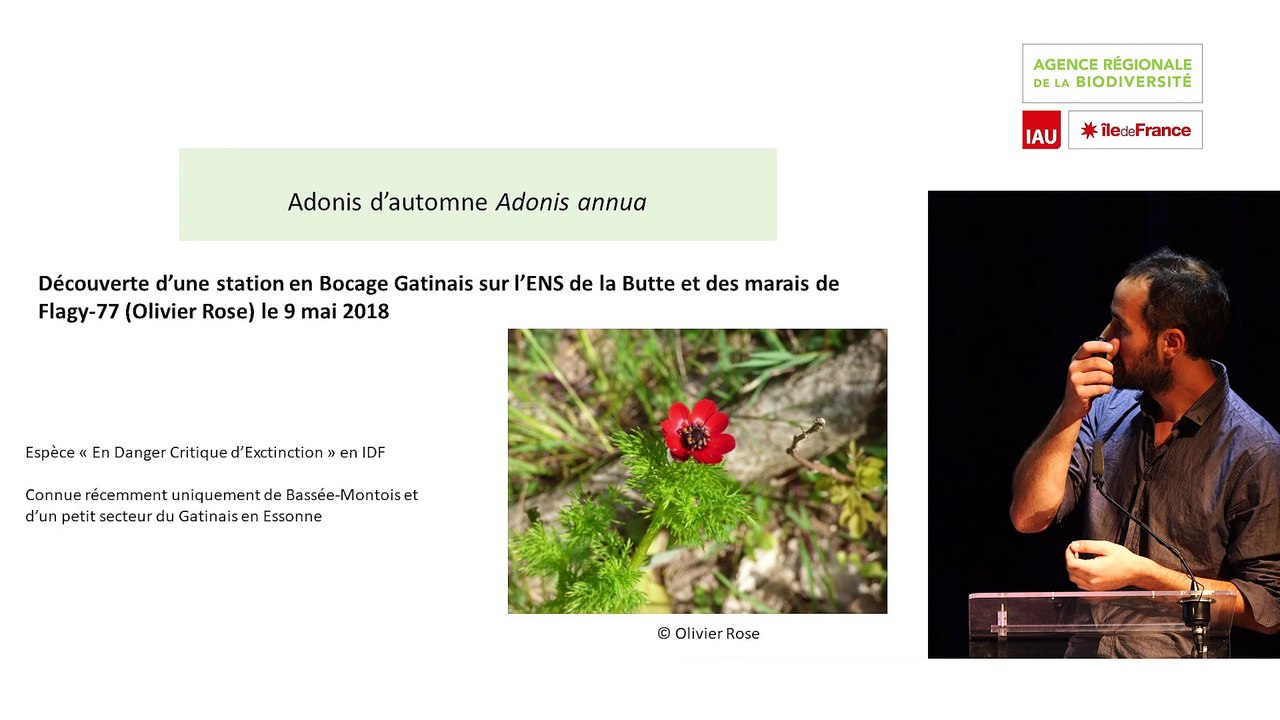 18 - Maxime ZUCCA - Rencontres Naturalistes 2018