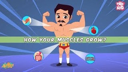 How your MUSCLES Grow? - The Dr. Binocs Show | BEST LEARNING VIDEOS For Kids | Peekaboo Kidz