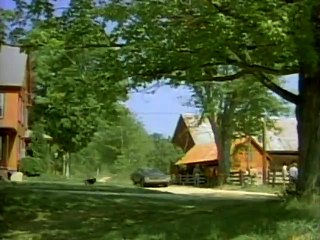 Newhart - 701 - Town Without Pity