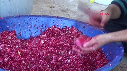 Gaziantep İslahiye'de, Nar Ekşisi Mesaisi