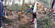 Ciclistas salvam cão amarrado a uma árvore na Serra de Pias em Valongo