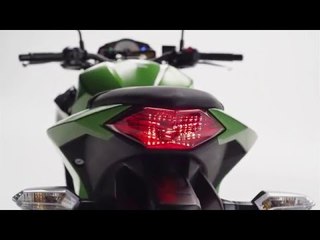 Kawasaki Z300 2015