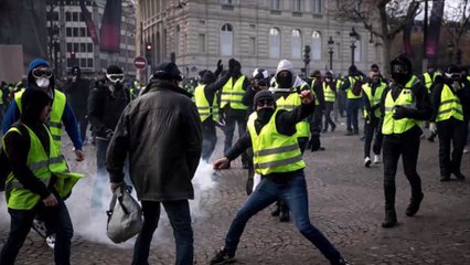 Donald Trump : un député le flingue violemment et enflamme la Toile