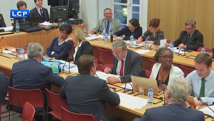 Brexit : Les députés sécurisent le statut de fonctionnaire des ressortissants britanniques