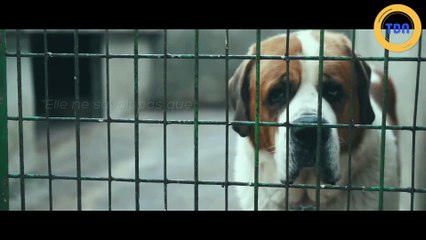 Cette campagne contre l'abandon des animaux va vous mettre la larme à l'œil !