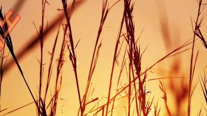 생방송카지노합법よ／／ MW381。CoM ／／が예스카지노주소