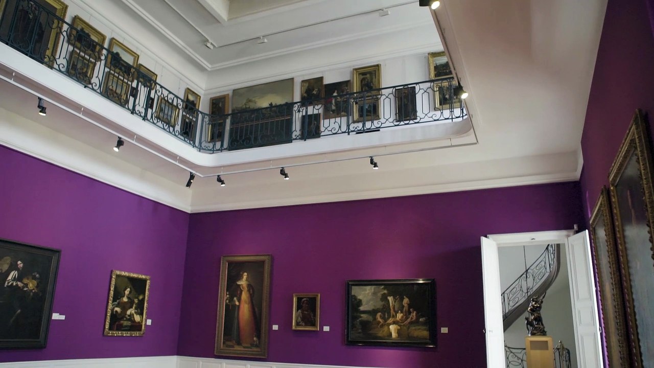 Musée des Beaux-Arts (LSF)