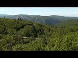 Opel Insignia Trailer