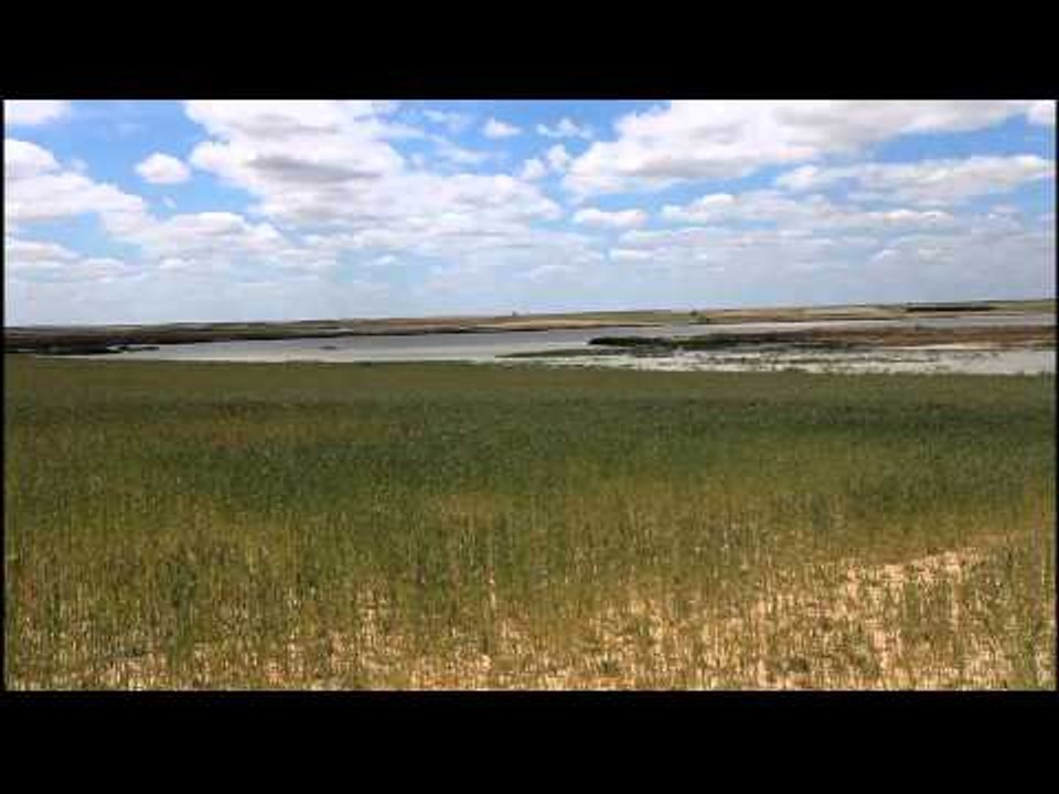 Ruta 4x4 Las Lagunas de Villafáfila