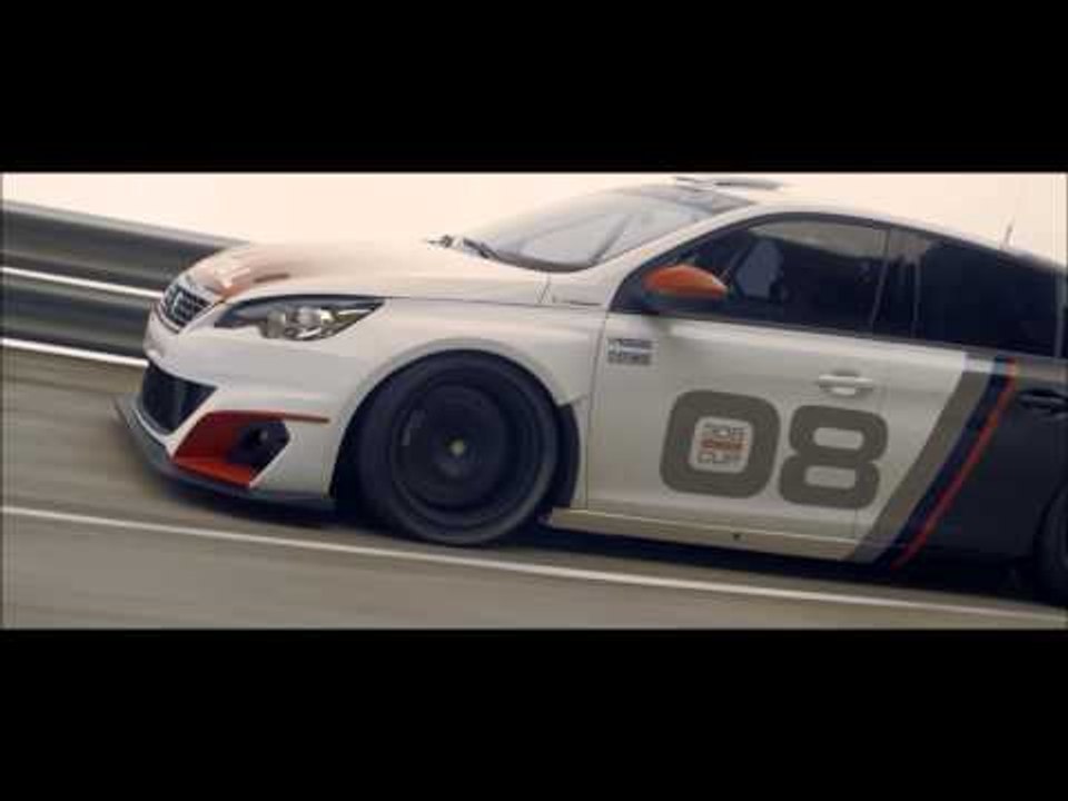 Peugeot 308 Racing Cup