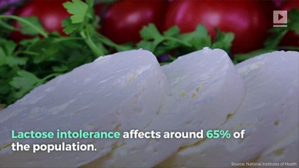 Is Dairy Good or Bad for You?