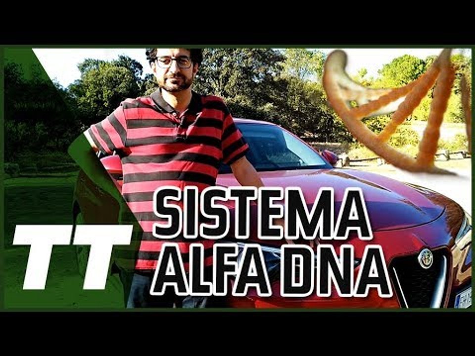 Sistema Alfa Romeo D.N.A. del Stelvio