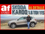 Skoda Karoq 1.6 TDI 115 CV al detalle