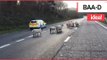 Hilarious Video Shows Flock of Sheep Being Hearded Along a Dual Carriageway | SWNS TV