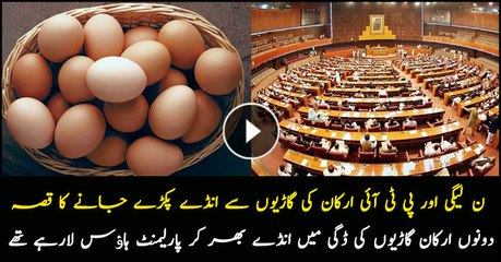 PMLN and PTI's MNAs were carrying eggs in their car trunk to Parliament