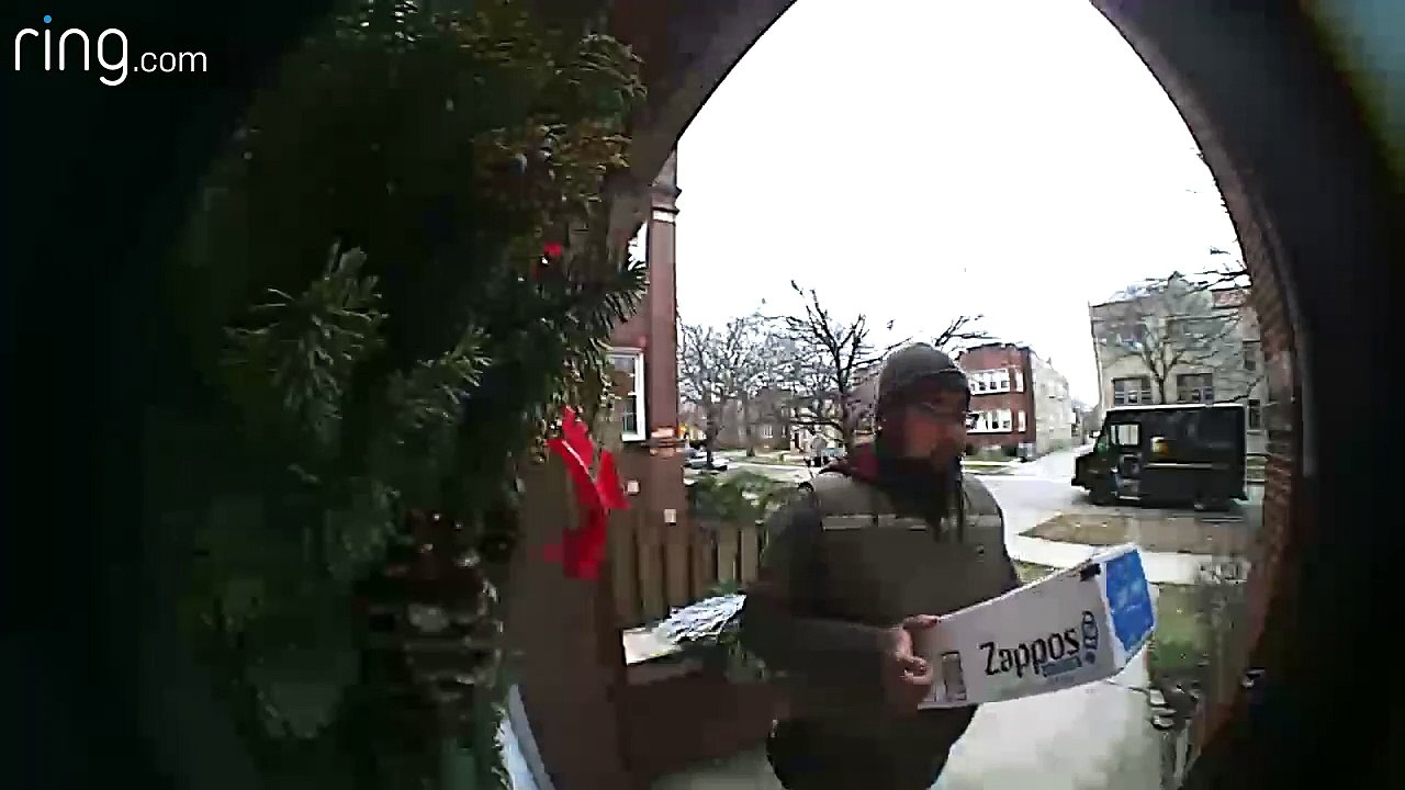 Squirrel Says Hello to UPS Delivery Driver
