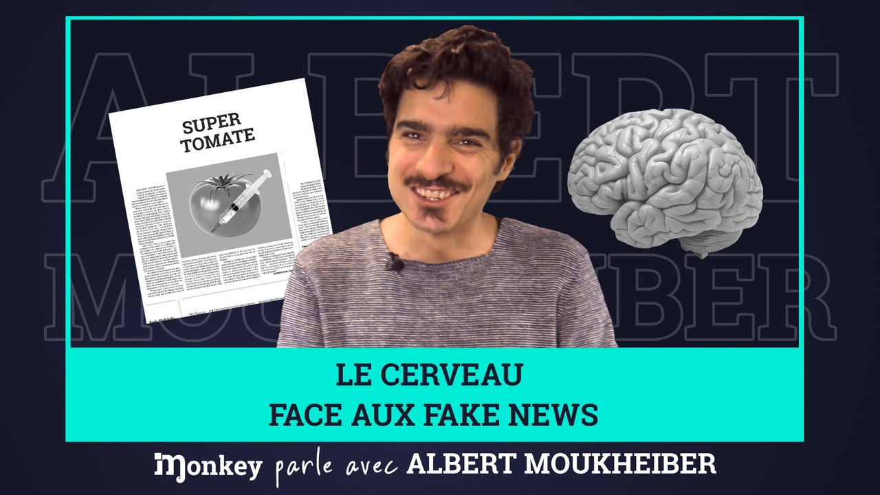 HALTE AUX FAKE NEWS