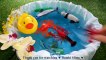 Learn Colors With Wild Zoo Animals Blue Water Shark Toys For Kids Toddlers
