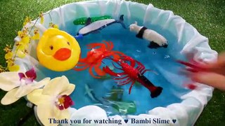 Learn Colors With Wild Zoo Animals Blue Water Shark Toys For Kids Toddlers