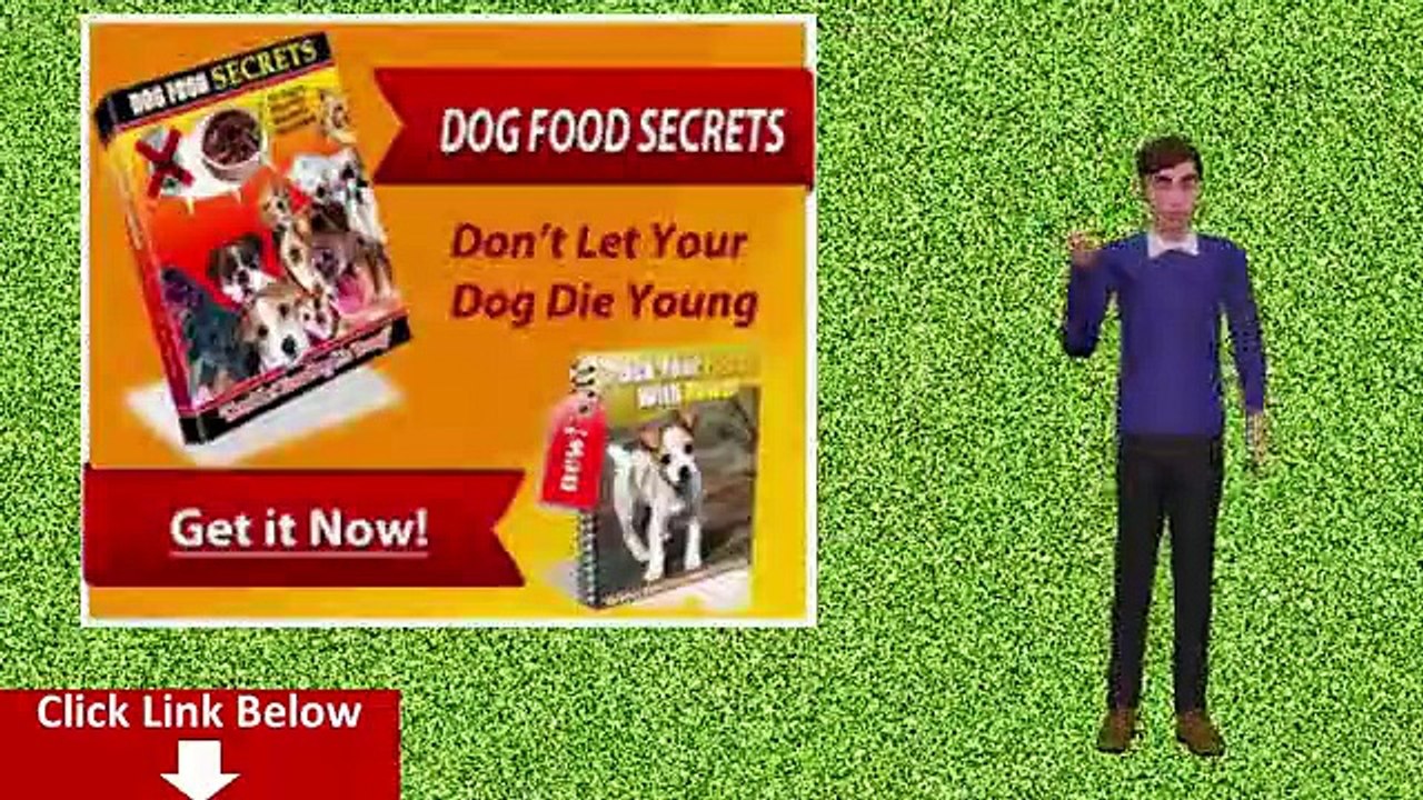 Dog Food Secrets Review-Dog Food Secrets Bonus-Dog Food Secrets Download Amazon PDF Ebook By Andrew