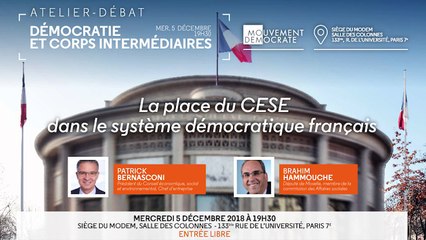 Atelier-débat, la place du CESE dans le système démocratique français - 051218