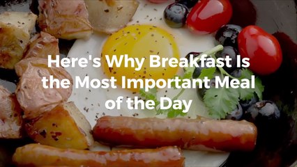 Why Breakfast Is the Most Important Meal of the Day 🍳