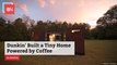 A House Powered By Coffee And Donuts