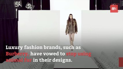 Fake Fur And Plastics Are Hurting The Environment