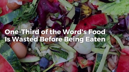 How Much Food In The World Is Wasted: Watch