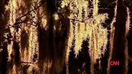 Murderer James Duckett (Crime Documentary)