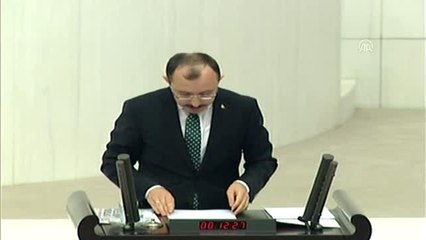 2019 Yılı Bütçesi Görüşmeleri - İyi Parti'li Öztürk'e "Geçici Çıkarma Cezası" Verildi