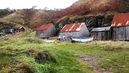 Attack of the Herbals Trailer