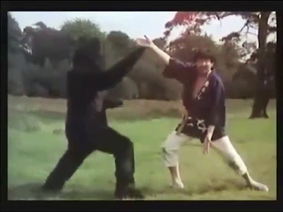 Bear Fight