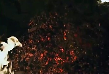 릴게임야마토, 릴게임종류 ,,// VFV7 쩜 콤 ,,//종합릴게임사이트주소