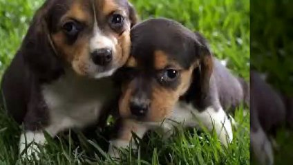 국내최대의 우리카지노 우리카지노계열 총집합!!카지노사이트/바카라사이트/온라인바카라/ 함께하세요.업계최고 【www.be-ting.com】 돈벌수있는 안전놀이터★★7년 무사고【먹튀NO】【검증OK】