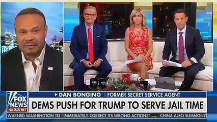 Fox News Guest Says Trump Shouldn't Be Jailed For Campaign Finance Violations Because Obama Did The 'Same Thing'