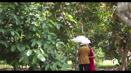 Xem Phim Mộng Phù Hoa - Tập 15