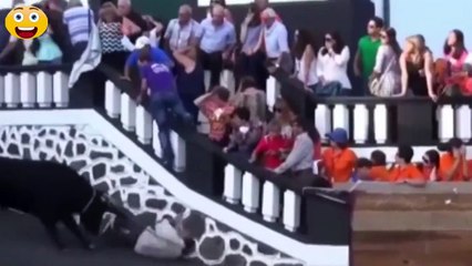 Furious bull attack (bull festivals)