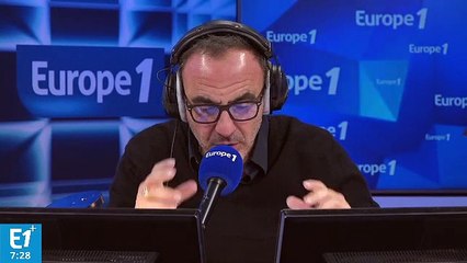 Piqûre de guêpe : le venin bientôt transformé en antibiotique