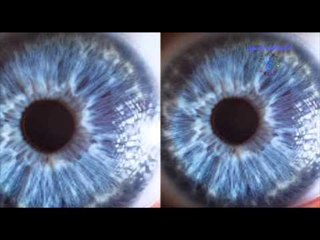 رأفت الشيخ - جرحونا بطرف عين