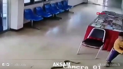 Şik�yet için polis merkezine giden adama yılan saldırdı