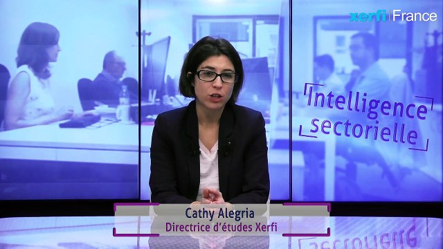 Les fournisseurs de gaz naturel et d’électricité à l’horizon 2021 [Cathy Alegria]