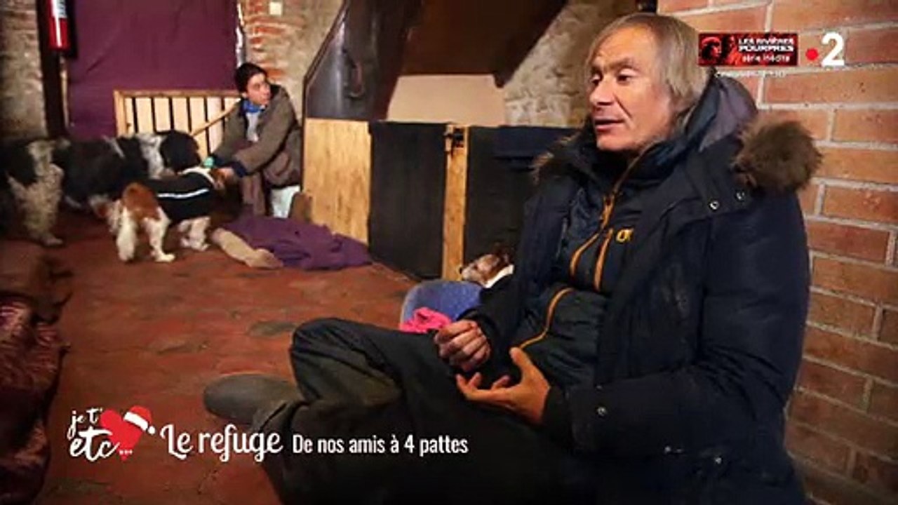 France 2 nous fait visiter la première "maison de retraite" pour... chiens ! Regardez