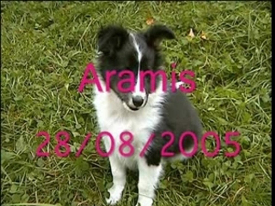 Aramis bébé: 1er jour à la maison