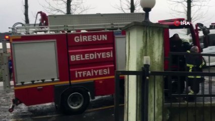 Rüzgara dayanamayan ağaç elektrik tellerine devrildi